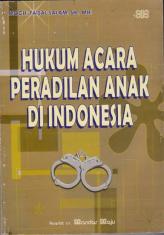 Hukum Acara Peradilan Anak Di Indonesia